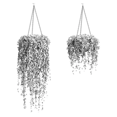 Petunia in hanging pots. 2 models — Ver 2