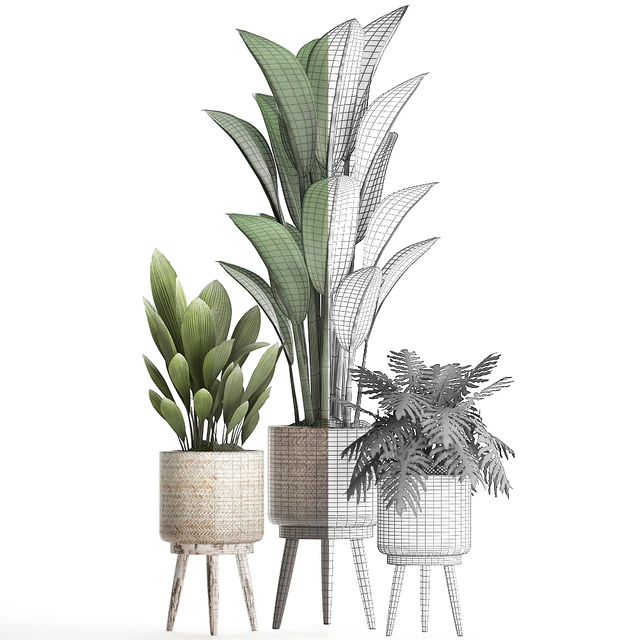 Plant Collection 428. basket, rattan, strelitzia, philodendron, palm grass, indoor plants, scandinavian style, eco design, natural decor — Descargar