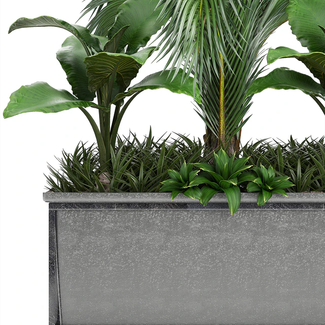 Plant collection 245. Interior palm tree, bushes, thickets, pot, alocasia — Descargar