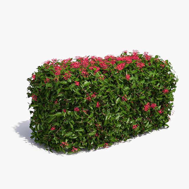Delightful hedges — Descargar