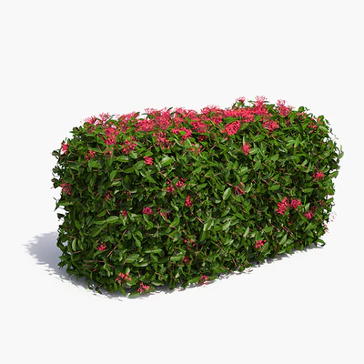 Delightful hedges — Ver 1