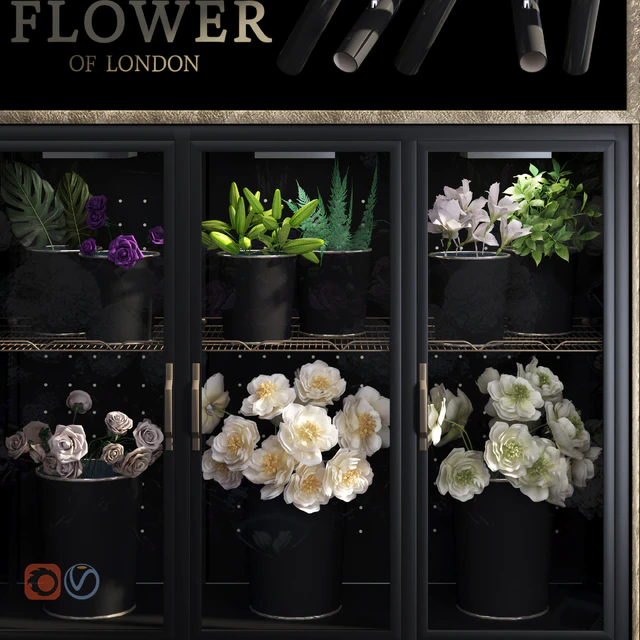 Flower Shop-refrigerated display — Descargar