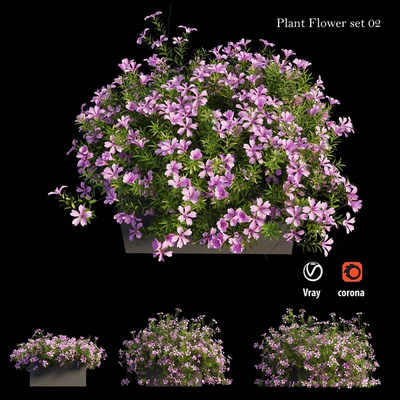 Plant Flower set 02 — Вид 3