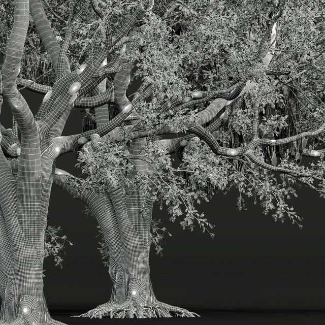 New Plant High detail Angel Oak Live Tree — Скачать
