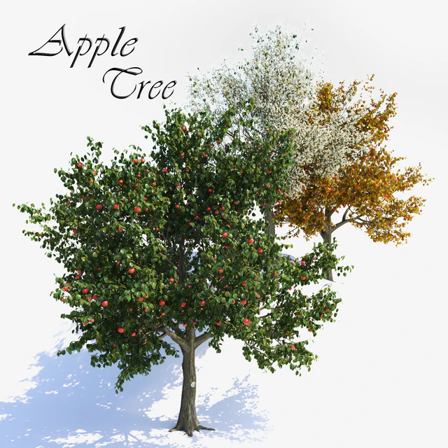 Apple Tree 1 — Скачать