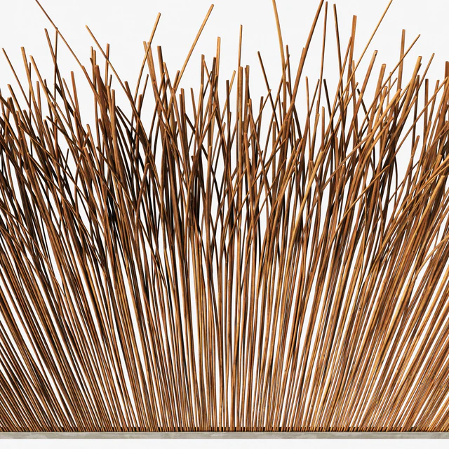 Screen long branch thin decor n5 / Long screen of thin branches No. 5 — Descargar