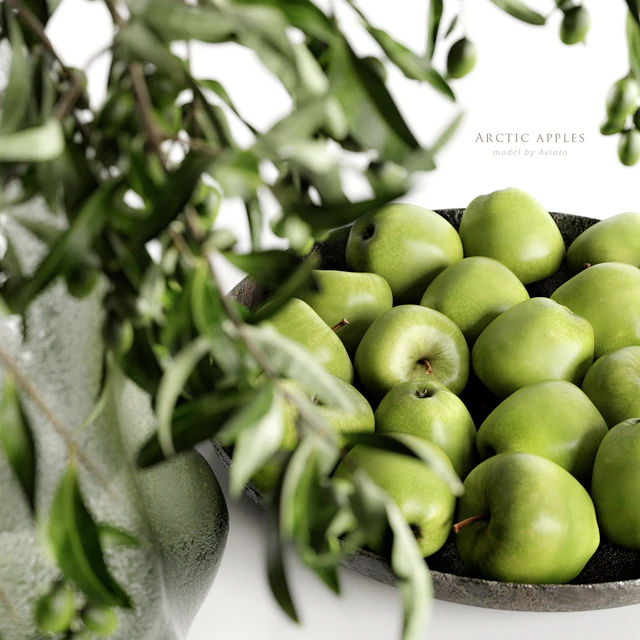 arctic apples — Descargar