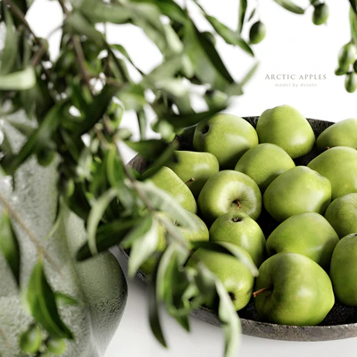 arctic apples — Ver 2