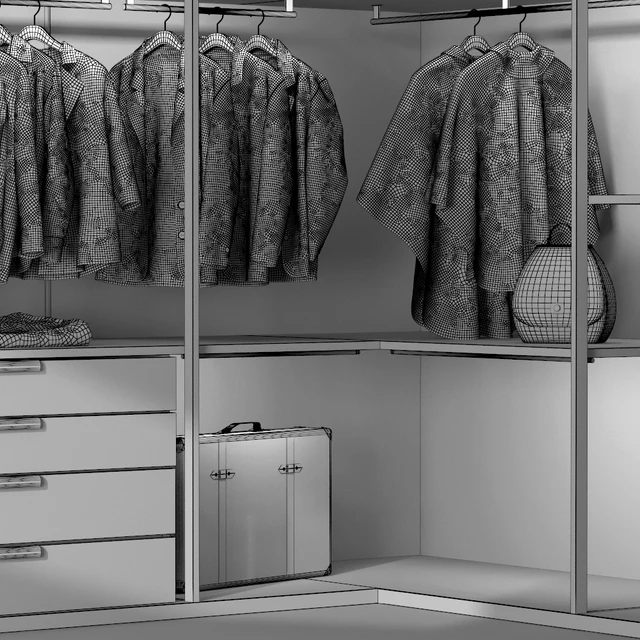Wardrobe Molteni&C — Скачать