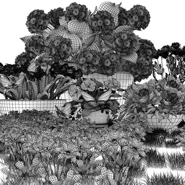 Flower beds — Descargar