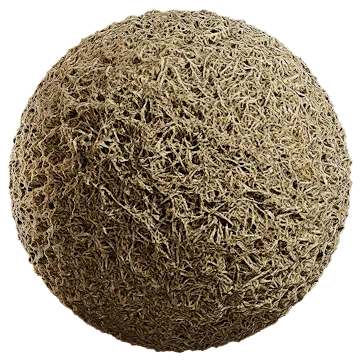 grass dried 044 — Descargar