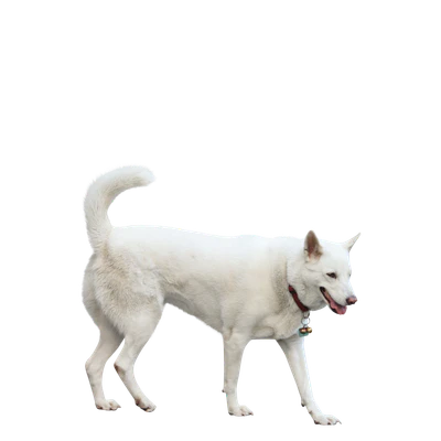 012 — Скачать
