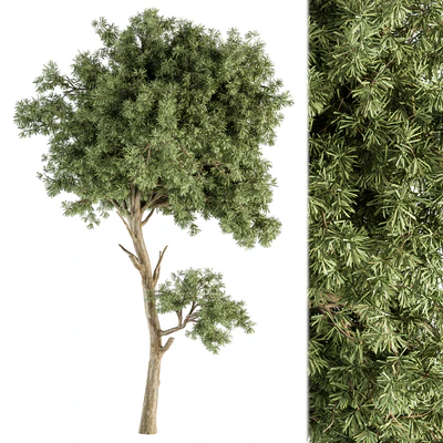 Small Tree Green Maple Needle - Set 71 — Ver 2