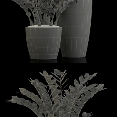 Plants collection 56 — Вид 3