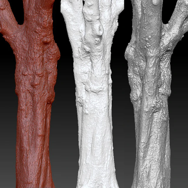 Maple | Maple-tree # 1 — Descargar