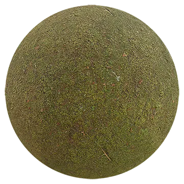 forest moss 001 — Descargar