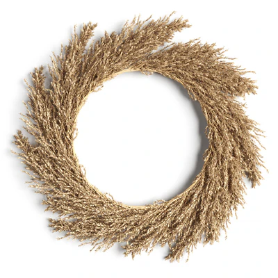 Pampas wreath — Ver 1