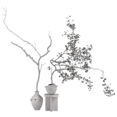 Indoor Plant 03 — Ver 2