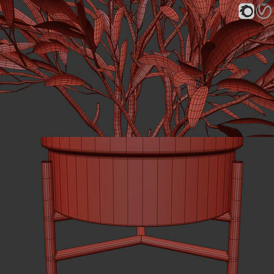 Olive trees 3 — Вид 2
