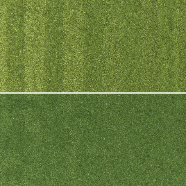 Lawn grass — Descargar