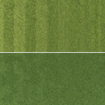 Lawn grass — Ver 2
