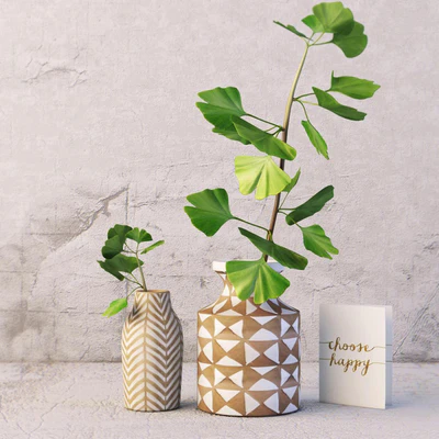 Kolya vase and gingo branch — Вид 1