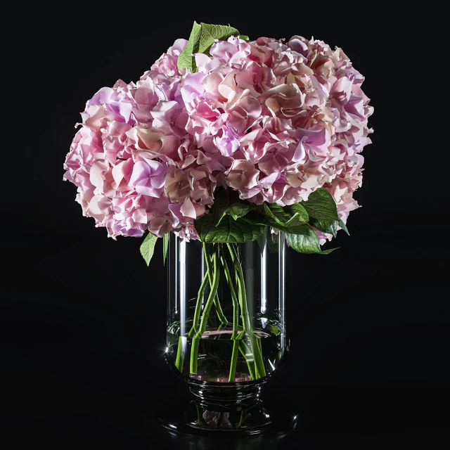Hydrangea set 002 — Скачать
