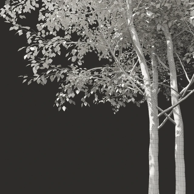 Summer tree # 03 — Descargar