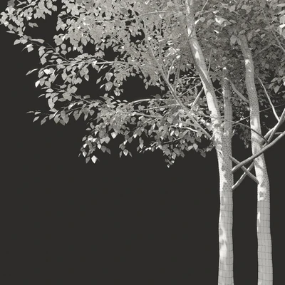 Summer tree # 03 — Ver 2