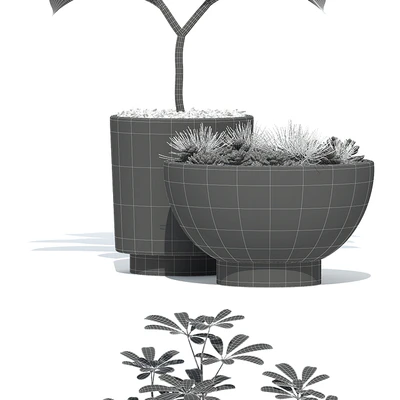 Plants collection 73 Modernica pots — Вид 2