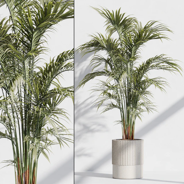 indoor plant set 76 — Descargar