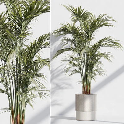 indoor plant set 76 — Ver 1