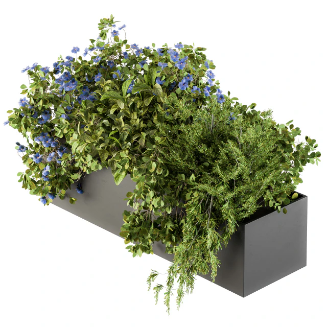 Outdoor Plant Set 208 - Plant Box Blue Flower — Descargar