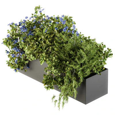Outdoor Plant Set 208 - Plant Box Blue Flower — Ver 1