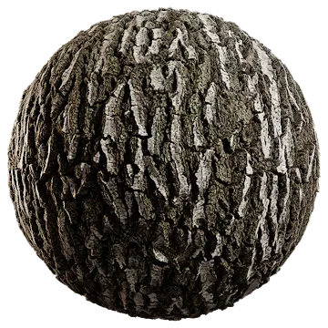 birch bark 002 — Descargar