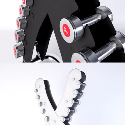Life Fitness Set of chrome dumbbells with the X-shaped stand — Ver 3