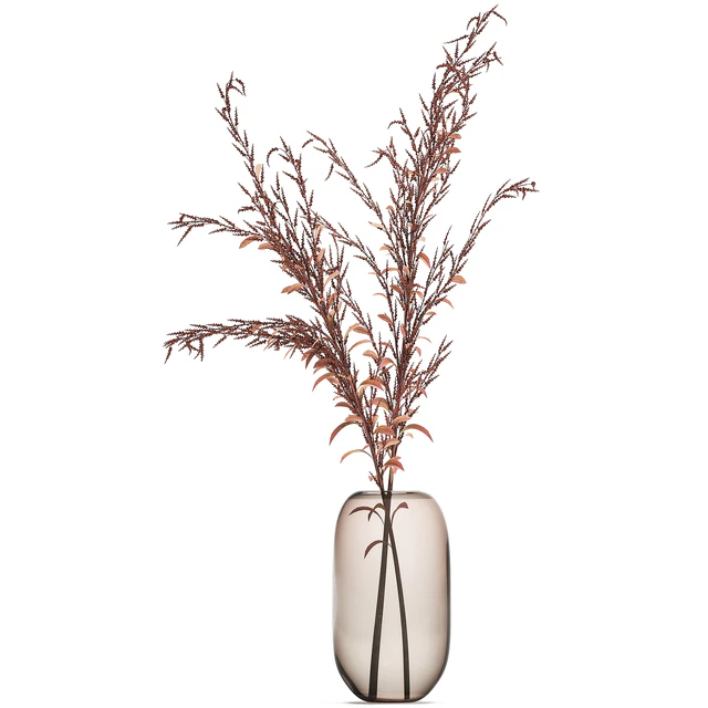 Bouquet of red branches of dried flowers in a glass vase with Goldenrod, Solidago. Set 153. — Descargar