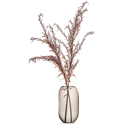 Bouquet of red branches of dried flowers in a glass vase with Goldenrod, Solidago. Set 153. — Ver 3