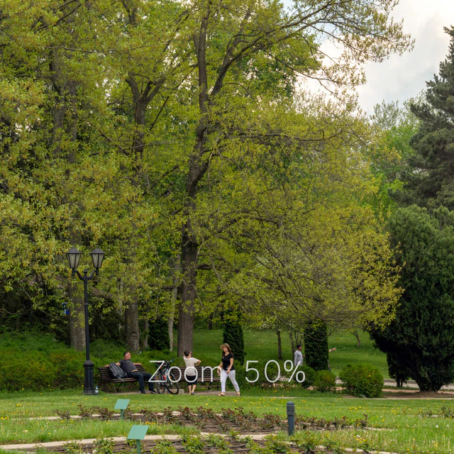 Panorama from the park v2. 30k — Descargar