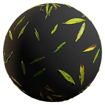 canna plant 002 — Descargar