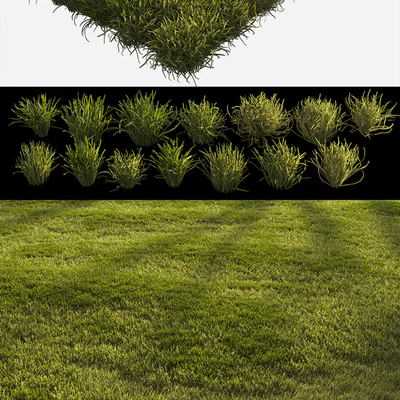 Forest grass — Ver 2