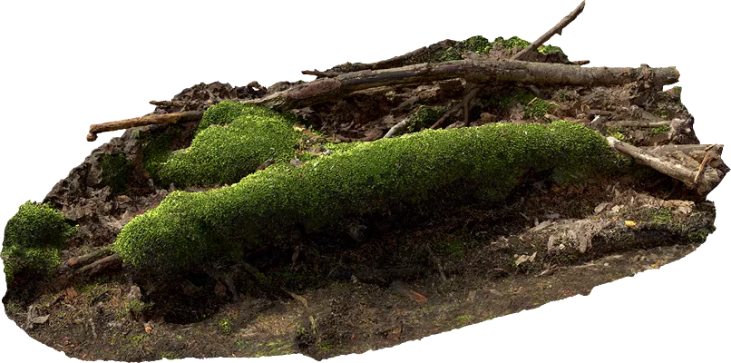 mossy embankment 011 — Descargar