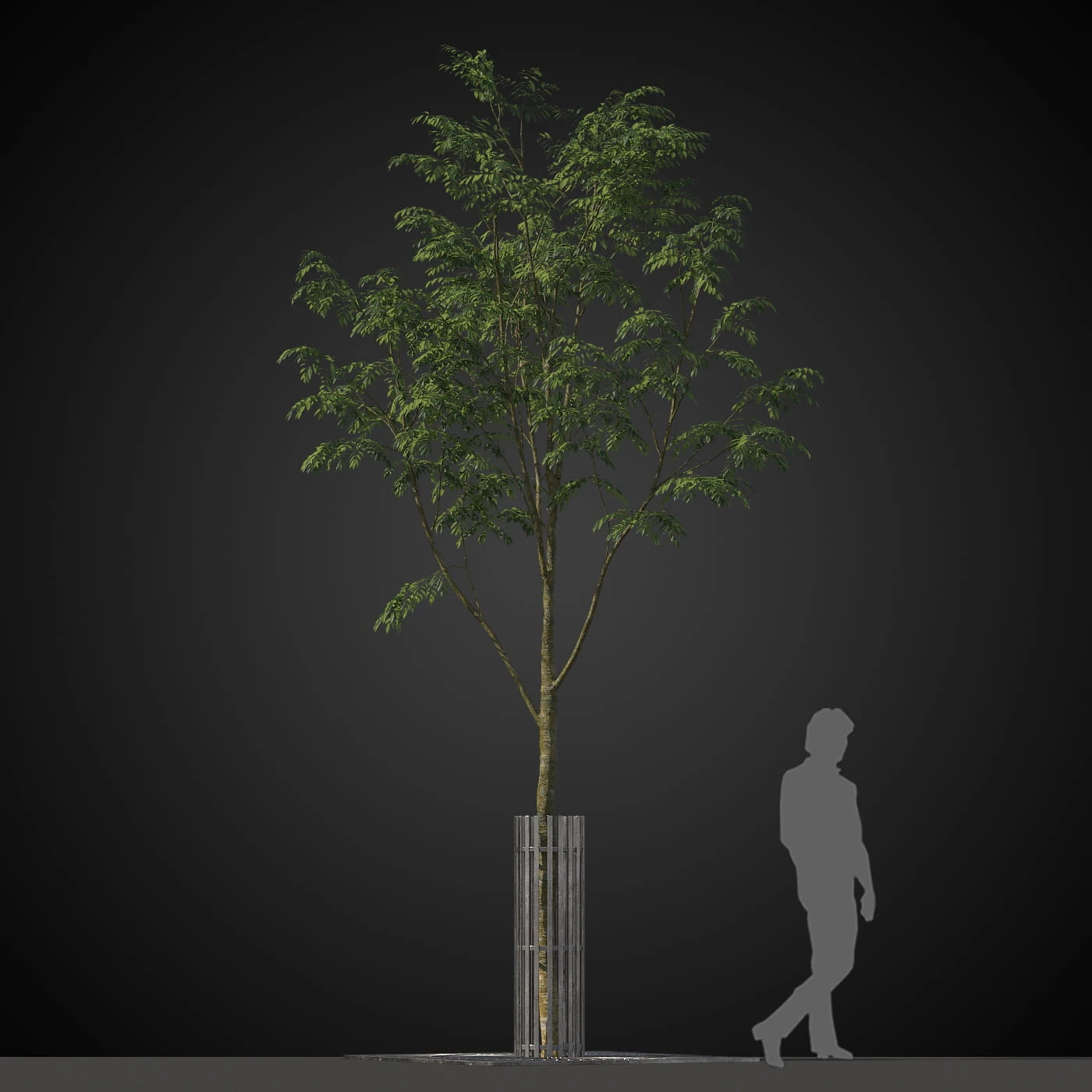 trees 034 — Скачать