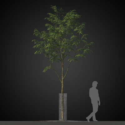 trees 034 — Скачать