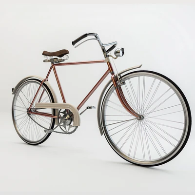 Vintage Bike — View 1