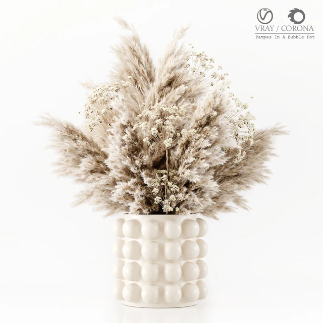 Pampas In A Bubble Pot — Descargar