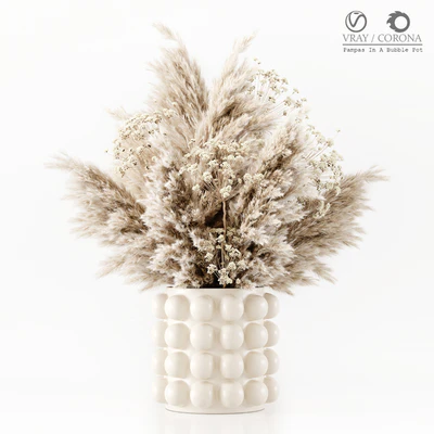 Pampas In A Bubble Pot — Ver 1