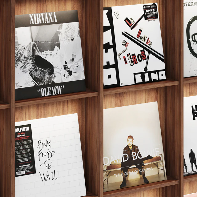 Rack with vinyl records for home or store — Descargar