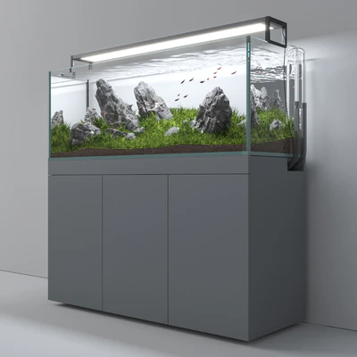 Aquascape aquarium Iwagumi — Вид 2