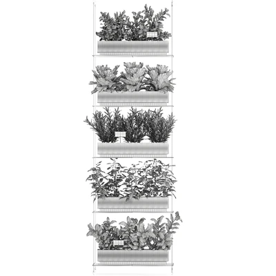 Plant collection 1411 — View 3